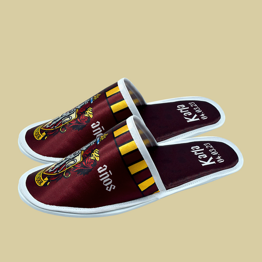 Pantuflas XV Harry Potter